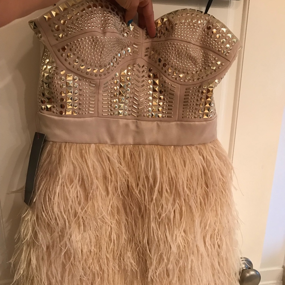 Bebe Dress Brand New
